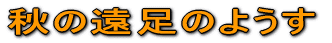 H̉̂悤